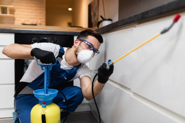 Best Rat Extermination Near Me  in Roslyn Heights, NY