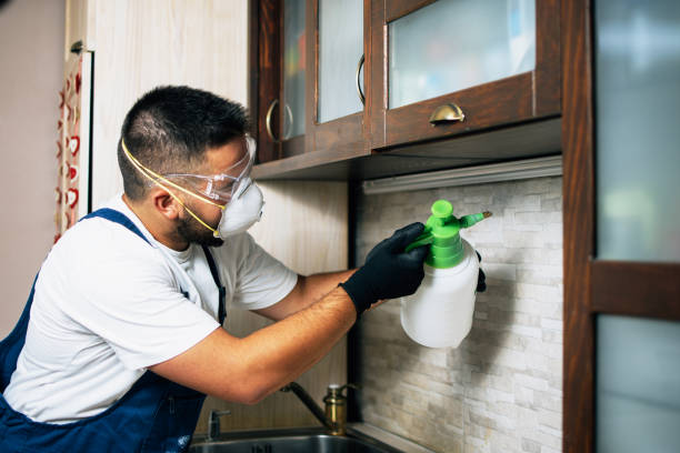 Best Best Pest Control Companies  in Roslyn Heights, NY