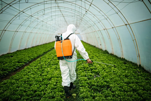 Best Emergency Pest Control  in Roslyn Heights, NY