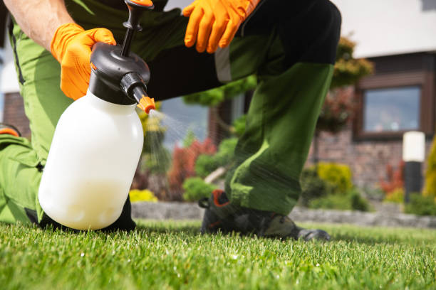 Best Insect Control  in Roslyn Heights, NY
