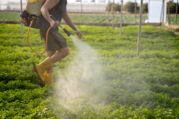 Best Affordable Pest Control Services  in Roslyn Heights, NY