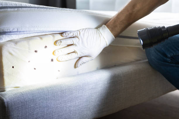 Best Wildlife Control Services  in Roslyn Heights, NY